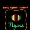 bolo.ojink.demak