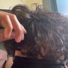 andresperez5692