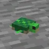 turtle4508