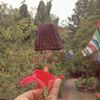sakina4630