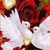user21368410114577