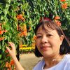 lan.pham2739