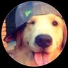 perrito123583844884