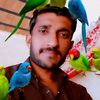 asif34825