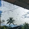 awanputih153