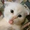.putraaa01
