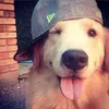 skmtheww0