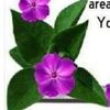 wini.fred473