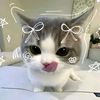 piraaaa_raaaa080110