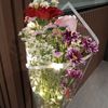 whyucallme_24
