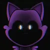 catnapqywrf