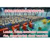 chinese.products04