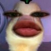 meccayaaf