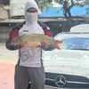 hoangdicauca2025