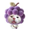 kaowfang171