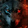 الذيب ♦️🐺