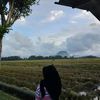 itfeby_