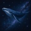 whale_..52hz