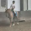 equi.shay