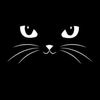 gatofeo2025