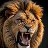attiq.bangash.56