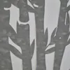 amanixeudri