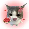 haeb.gier