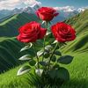 amira.miral770