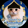 serahlah683