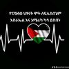 ousman.kassa
