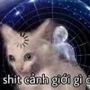 lambohuynh36