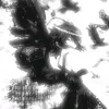 uglymore2