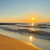 tropical_paradise2.0