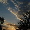 isidora_momberg20365u
