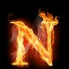 rock.najibullah