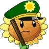 pvzgg