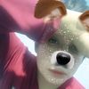 armandotecla07