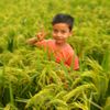 muhammad.monirul6