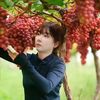 fruitscut643