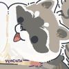 siraccoon