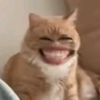 blup_blup40