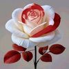 user7252409238081