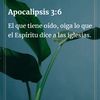 rosaidagonzales30