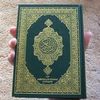 mohamed.mostafa7361