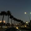 ignashooo