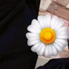 splinub