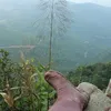 covkxuongnui2222