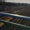 merljind_s