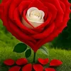 ali89yt