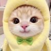 royal_girl596